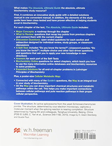 Absolute, Ultimate Guide to Principles of Biochemistry Study Guide and Solutions Manual,Used