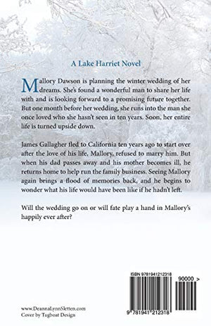 As the Snow Fell: A Lake Harriet Novel,Used