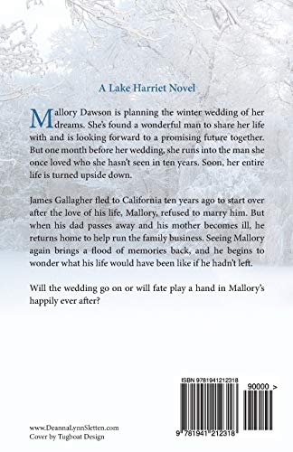 As the Snow Fell: A Lake Harriet Novel,Used