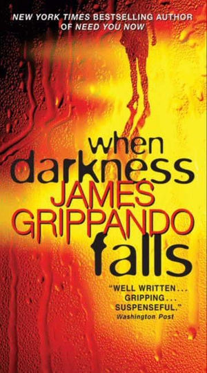 When Darkness Falls (Jack Swyteck Novel)