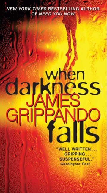 When Darkness Falls (Jack Swyteck Novel)