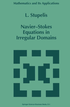 NavierStokes Equations in Irregular Domains (Mathematics and Its Applications, 326),New