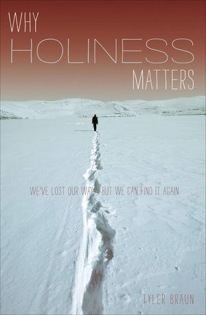 Why Holiness Matters: We've Lost our WayBut We Can Find it Again,Used
