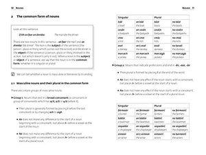 Irish Grammar (Collins Easy Learning) (English and Irish Edition),Used