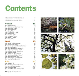 Time Out The Great Trees of London (Time Out Guides),Used