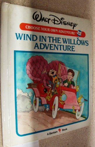 Wind in the Willows Adventure (Walt Disney Choose Your Own Adventure),Used