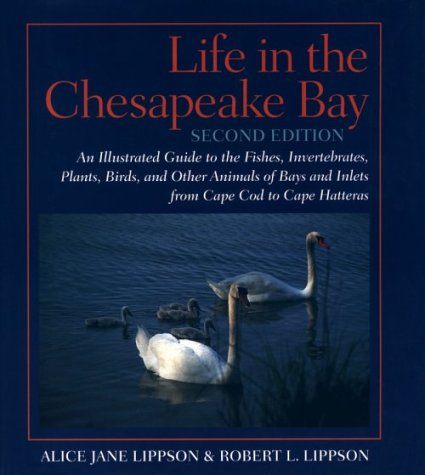 Life in the Chesapeake Bay