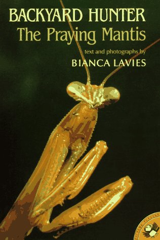 Backyard Hunter: The Praying Mantis (Picture Puffins),New