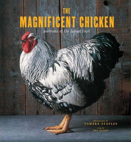 The Magnificent Chicken: Portraits Of The Fairest Fowl