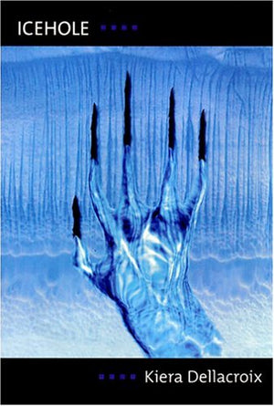 Icehole,Used