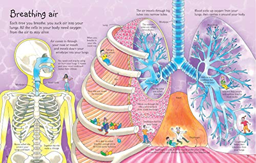 See Inside Your Body (International Edition),New