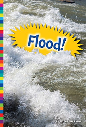 Flood! (Natural Disasters)