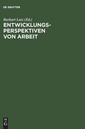 Entwicklungsperspektiven Von Arbeit: Ergebnisse Aus Dem Sonderforschungsbereich 333 Der Universitt Mnchen (German Edition),Used