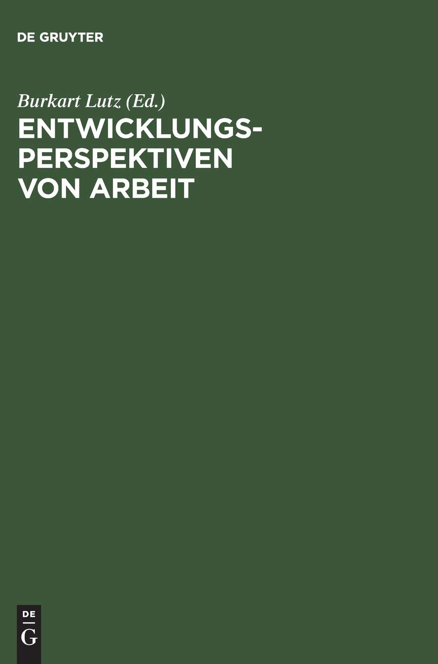 Entwicklungsperspektiven Von Arbeit: Ergebnisse Aus Dem Sonderforschungsbereich 333 Der Universitt Mnchen (German Edition),Used