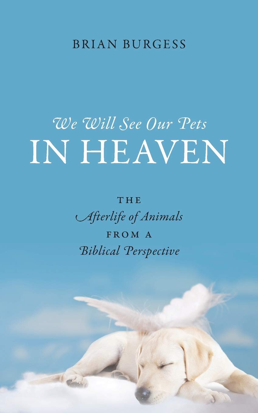 We Will See Our Pets in Heaven: The Afterlife of Animals from a Biblical Perspective,Used