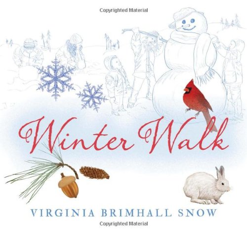 Winter Walk (Seasonal Walks),Used