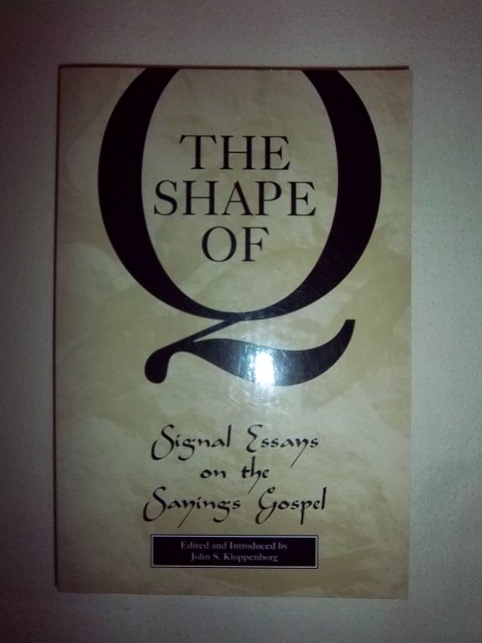 Shape Of Q: Signal Essays On The Sayings Gospel,New