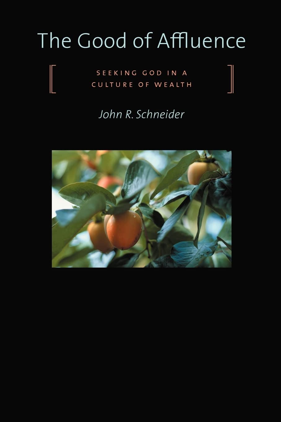 The Good of Affluence: Seeking God in a Culture of Wealth,New