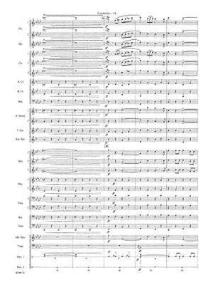 National Emblem (Belwin Concert Band),Used