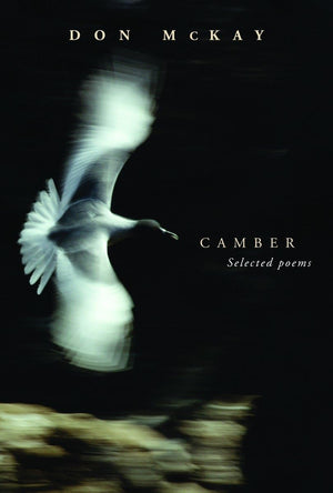 Camber,Used
