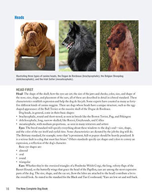 The New Complete Dog Book, 22nd Edition: Official Breed Standards and Profiles for Over 200 Breeds (CompanionHouse Books) Americ,New