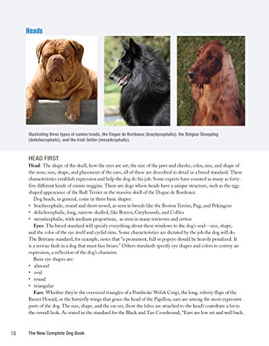 The New Complete Dog Book, 22nd Edition: Official Breed Standards and Profiles for Over 200 Breeds (CompanionHouse Books) Americ,New