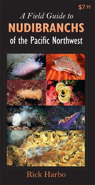 A Field Guide to Nudibranchs of the Pacific Northwest (Field Guide To... (Harbour Publishing)),Used
