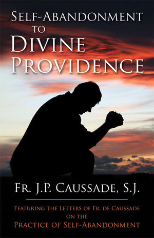 SelfAbandonment to Divine Providence,Used
