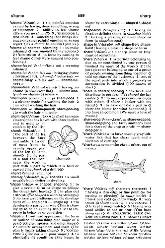 MerriamWebsters Dictionary of Basic English,Used