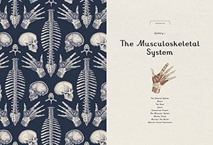 Anatomicum: Welcome To The Museum