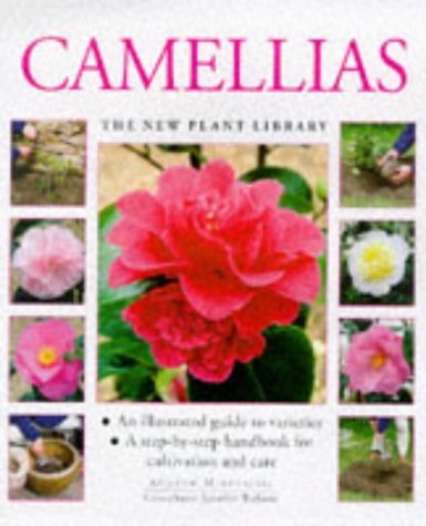 Camellias,Used