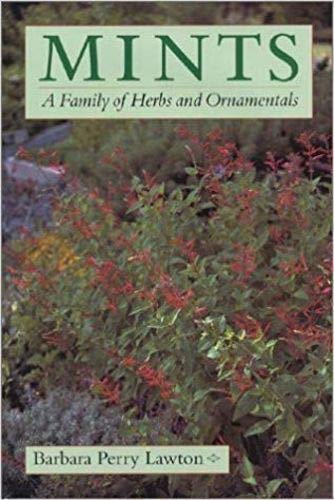 Mints: A Family Of Herbs And Ornamentals