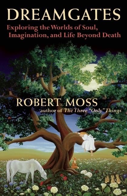 Dreamgates: Exploring the Worlds of Soul, Imagination, and Life Beyond Death,Used