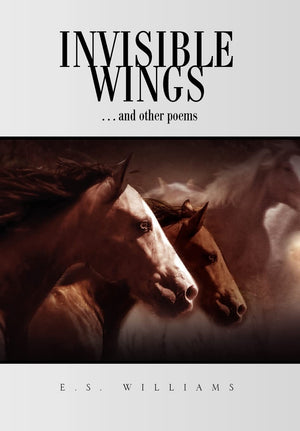 Invisible Wings,Used