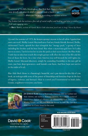 Blue Hole Back Home: A Novel,Used