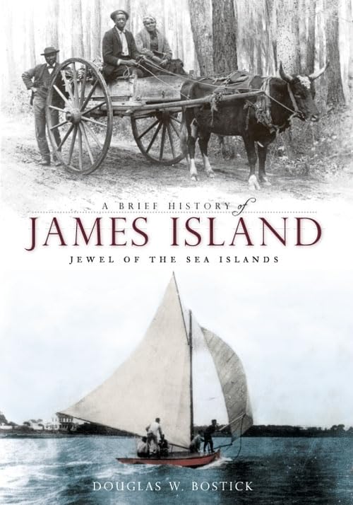 Brief History of James Island, A: Jewel of the Sea Islands,Used
