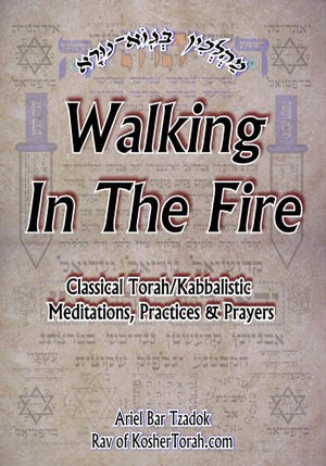 Walking In The Fire,Used