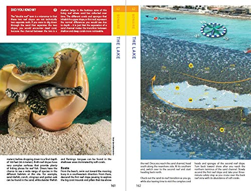 Reef Smart Guides Bonaire: Scuba Dive. Snorkel. Surf. (Best Netherlands' Bonaire Diving Spots, Scuba Diving Travel Guide),Used