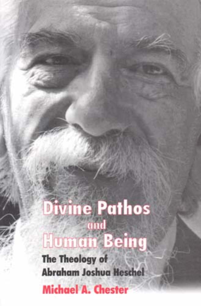 Divine Pathos and Human Being: The Theology of Abraham Joshua Heschel,Used