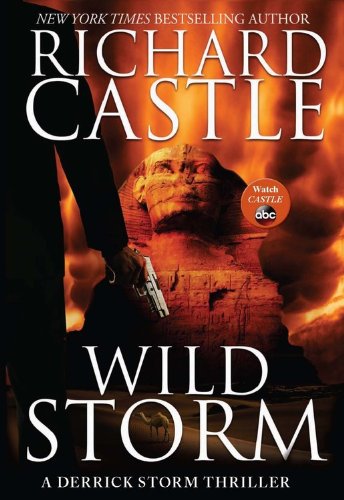 Wild Storm: A Derrick Storm Thriller (A Derrick Storm Thriller, 2),Used