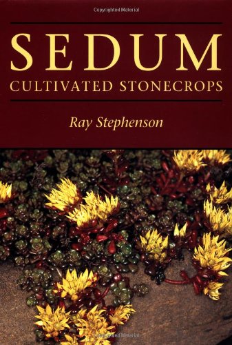 Sedum: Cultivated Stonecrops,Used