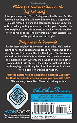 Fury on Fire: A Devil's Rock Novel,Used