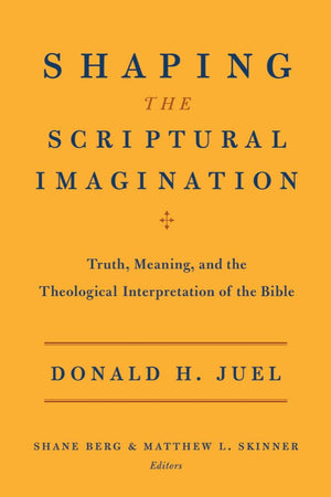 Shaping The Scriptural Imagination: Truth, Meaning, And The Theological Interpretation Of The Bible,Used