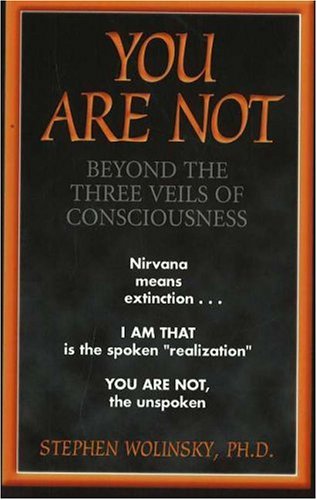 You Are Not: Beyond The Three Veils Of Consciousness,Used