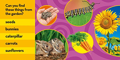 National Geographic Kids Look and Learn: In My Garden (Look & Learn),Used