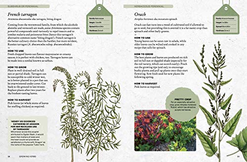 The Kew Gardener'S Guide To Growing Herbs: The Art And Science To Grow Your Own Herbs (Volume 2) (Kew Experts, 2),New