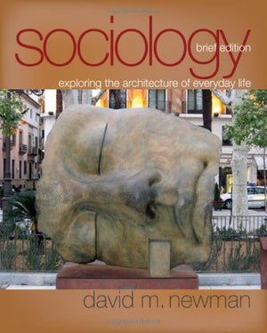 Sociology: Exploring the Architecture of Everyday Life, Brief Edition,New