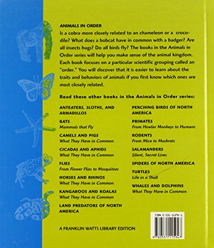 Snakes and Lizards: What They Have in Common (Animals in Order),Used