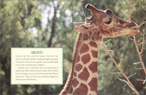 African Animals,Used