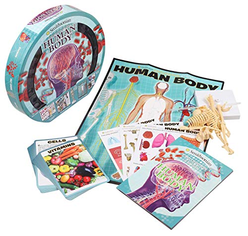 Exploration Station: The Human Body,Used